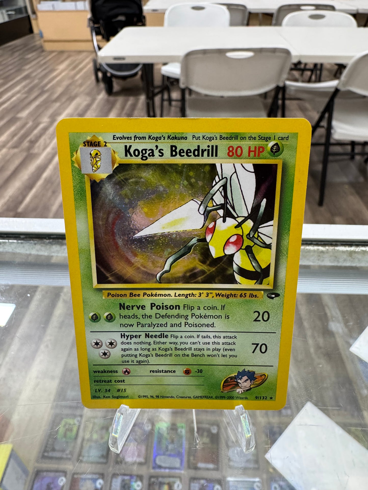 KOGA'S BEEDRILL ENGLISH