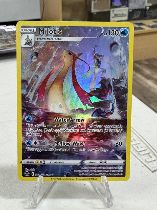 MILOTIC TRAINER GALLERY